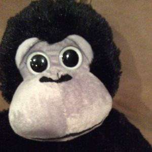 Meet your Posher, Peter